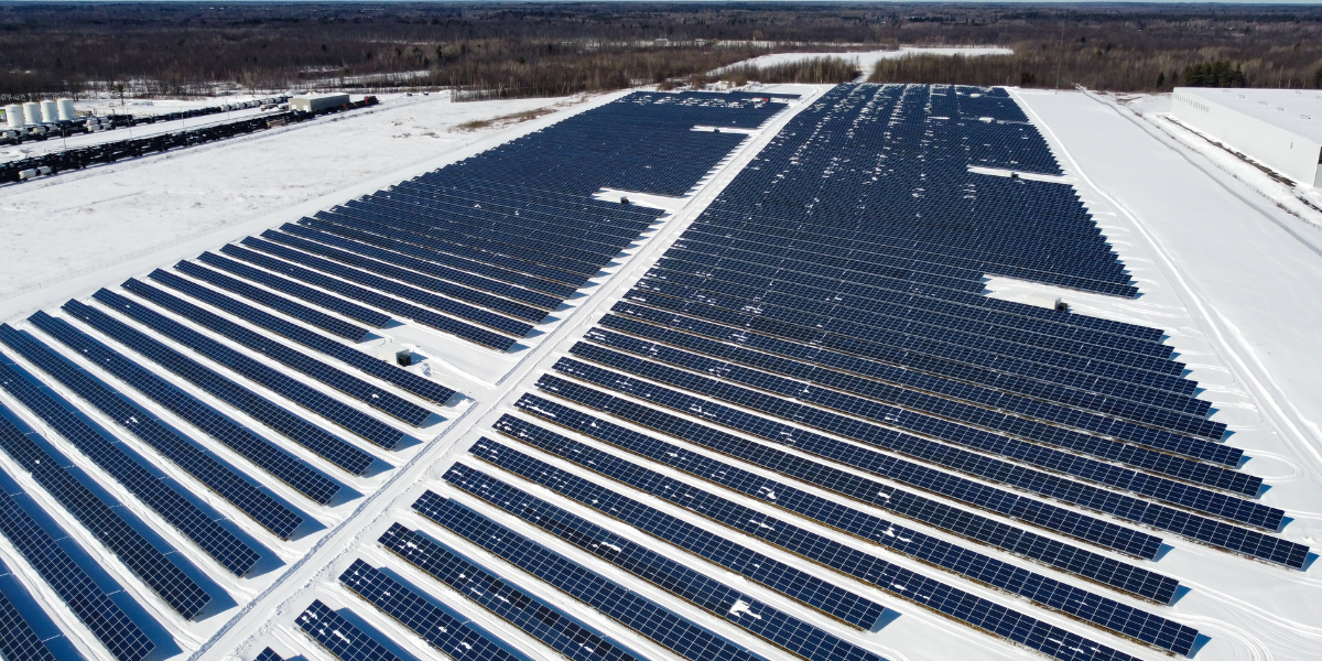 Een bedrijfspand met een groot aantal zonnepanelen